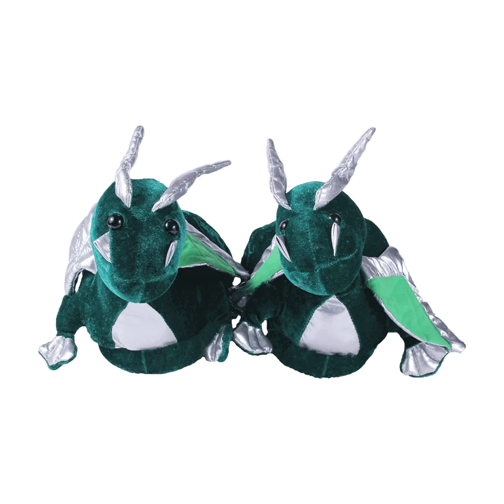 Dragon Slippers