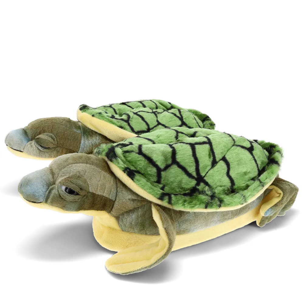 Turtle Slippers