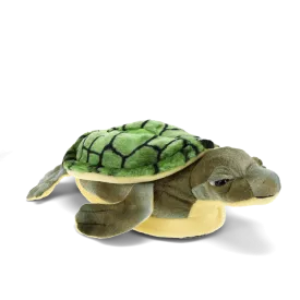 Turtle Slippers